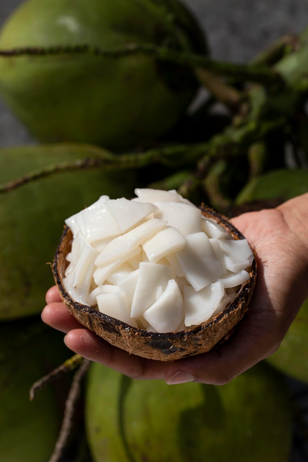 Frozen tender coconut malai